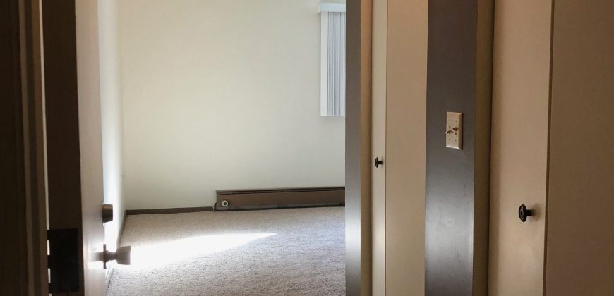 1 Bedroom 1 Bathroom Apartment – Ann Taecker