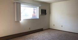 1 Bedroom 1 Bathroom Apartment – Ann Taecker