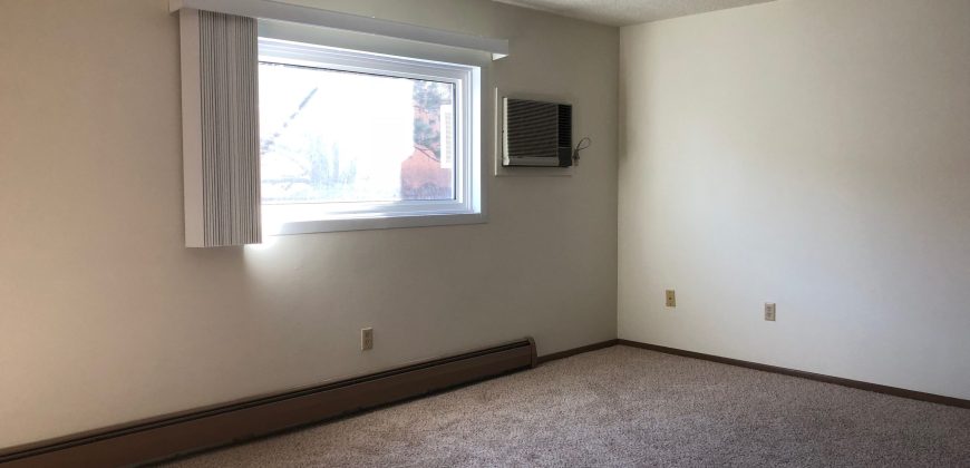 1 Bedroom 1 Bathroom Apartment – Ann Taecker