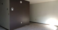 1 Bedroom 1 Bathroom Apartment – Ann Taecker