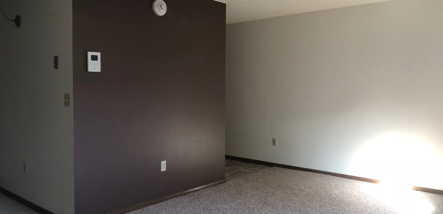 1 Bedroom 1 Bathroom Apartment – Ann Taecker