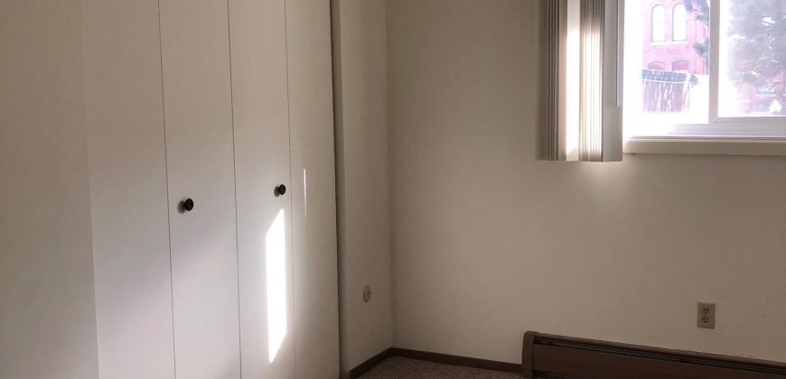 1 Bedroom 1 Bathroom Apartment – Ann Taecker
