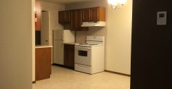 1 Bedroom 1 Bathroom Apartment – Ann Taecker