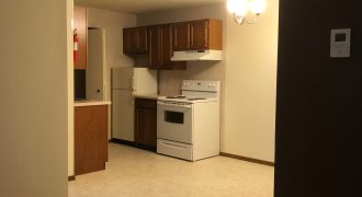 1 Bedroom 1 Bathroom Apartment – Ann Taecker