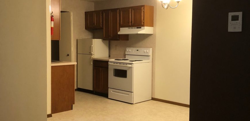 1 Bedroom 1 Bathroom Apartment – Ann Taecker